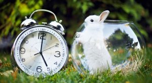 5 Dakikada Tamamlayabileceğiniz 20 Üretken Aktivite