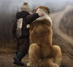Bizi Biz Yapan Başarılarımızdan Çok Mücadelelerimizdir