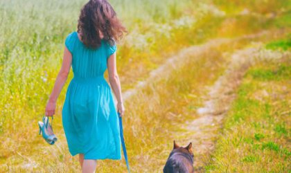 köpek gezdirmek-4-420x250