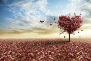 Aşkımız, Gerçek Olamayacak Kadar Güzeldi