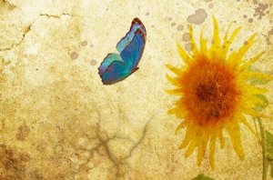 Yapmaya Değer Şeyleri Yapın, Sahip Olmaya Değer Şeyler için Savaşın