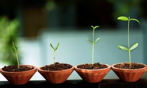 Olgunluğun 8 Göstergesi