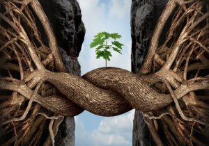 Hepimizin Hayatta Karşılaştığı 7 Yaygın Zorluk