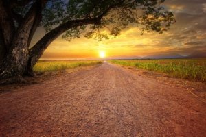 Motivasyonumuzu Neden Kaybederiz?