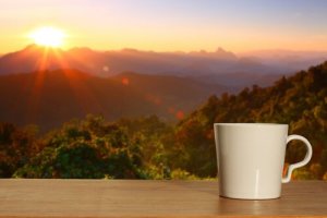 Tesadüf mü Neden mi?