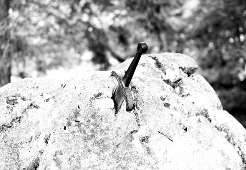 shutterstock_298595426