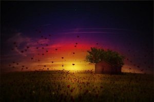 Duygusal Pazarlama: Duygu Satın Almak