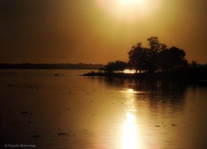 Hayal Gücünün Gücü