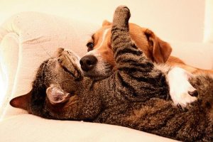 İnsanlara Güvenmekte Zorlandığınızda