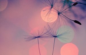 Zor Zamanlara Cevap Bulmak İyileştiricidir