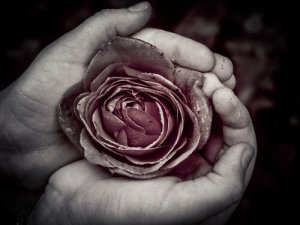 Kusurlarda Yatan Mükemmellik