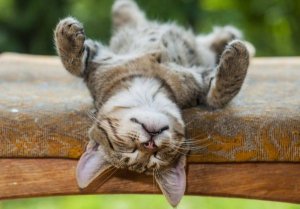 Kestirme Yapmanın 4 Psikolojik Faydası