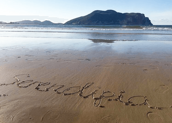 kuma yazılmış güzel tesadüf