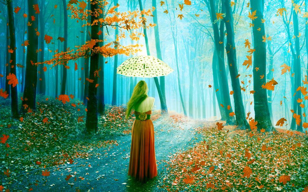 sonbaharda ormanda şemsiyeyle yürümek