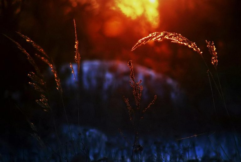 güneş her yerde batar