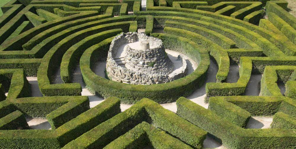 labirent yeşillik