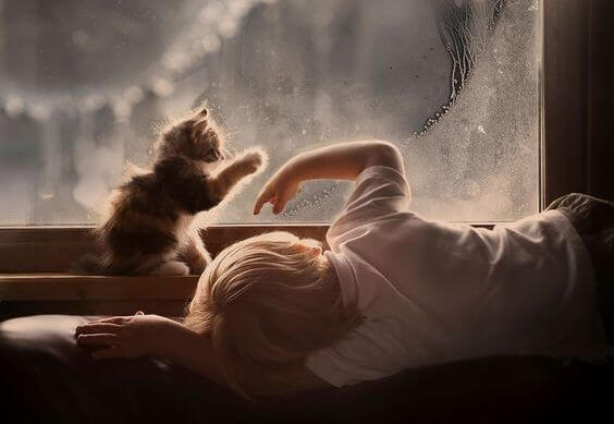 kedi çocuk cam kenarı yağmur