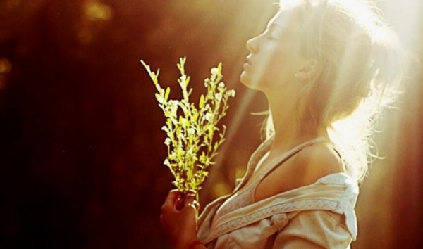 kadın çiçek gün ışığı