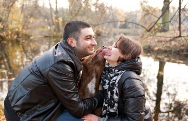 köpek sahibi mutlu çift