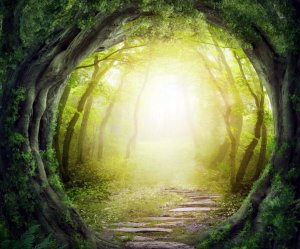 Herkesin Gizlenmek İsteyeceği Bir Sığınağı Vardır