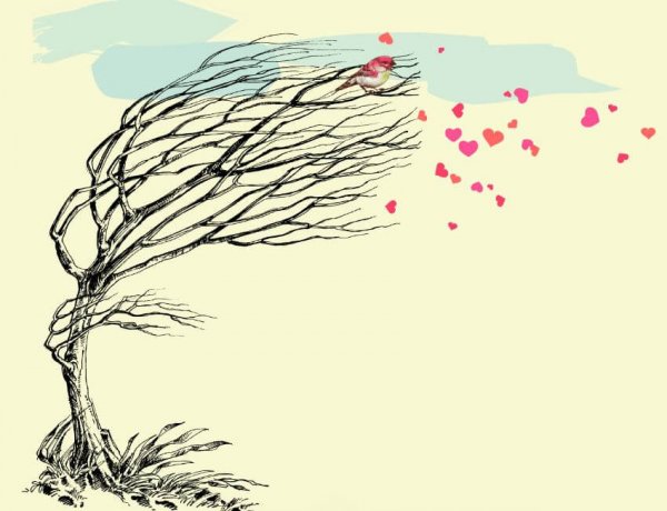 rüzgar ağaç kalpler