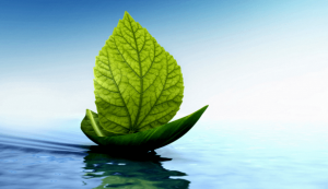 Stresi Azaltmak İçin Basit Bir Teknik: Jacobson İlerlemeli Kas Gevşetme Tekniği