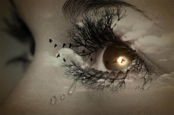 gözde ayışığında kuşlar