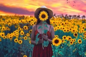 Mutluluğun Sırrını Açıklayan 76 Yıllık Çalışma