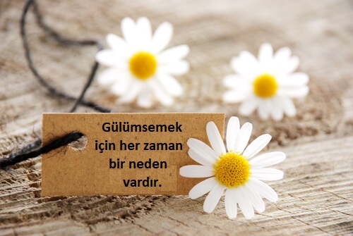 gülme kartı papatya çiçekleri ile beraber