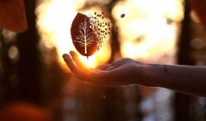 Zalimliğe Verilecek En İyi Cevap, Nezakettir