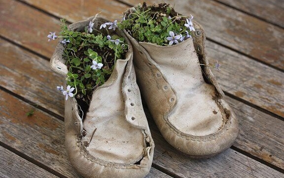 ayakkabıda çiçekler