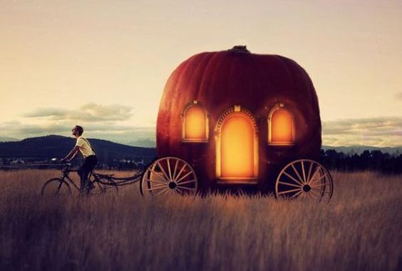 balkabağı aracı süren adam