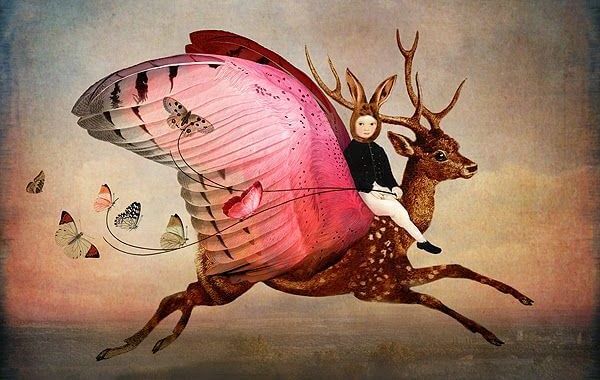 uçan geyik sırtında çocuk