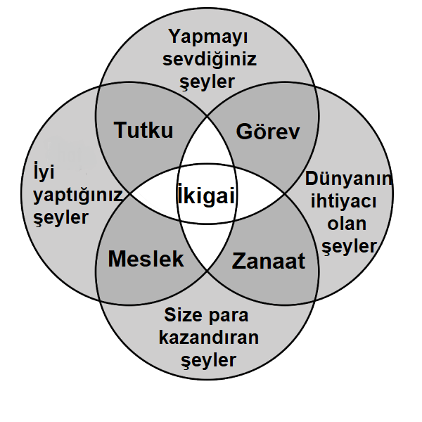 ikigai grafiği