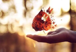 Sorular Sormak ve Cevaplar Bulmak için Önünüzde Daha Yıllar Var