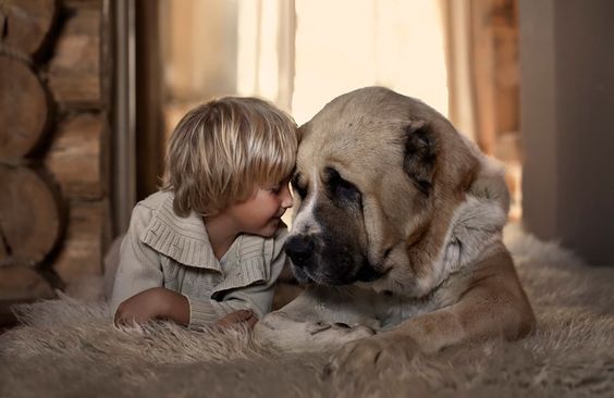 köpek ve çocuk sevgisi