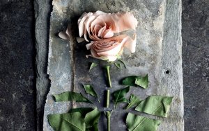 Pasif Şiddet: Yüzeysel Görünen Derin Yaralar