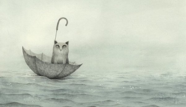 denizde şemsiyeye oturan kedi