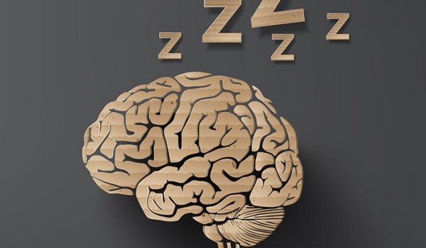 uyku ve beyin
