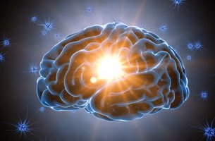 parlak beyin