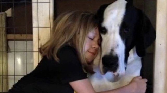 danua köpek george ve bella