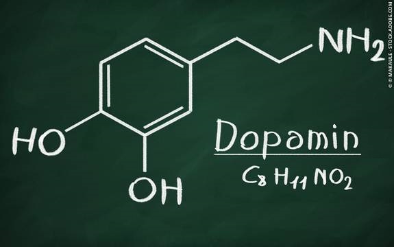 Dopamin Nedir ve Ne Yapar?