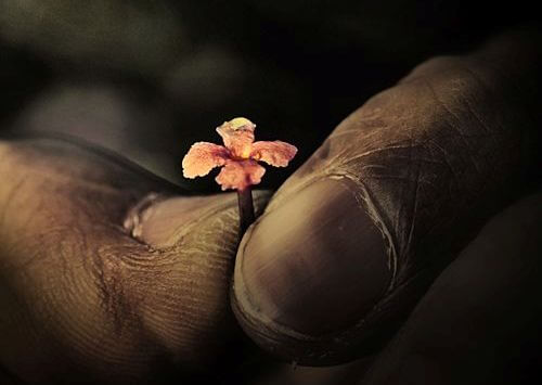elinde minicik çiçek