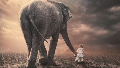 kız çocuğu ile fil çölde yürüyor