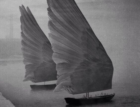 kanat yelkenli gemiler