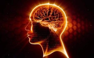 Omega-3: Gelmiş Geçmiş En İyi Sinir Koruyucu