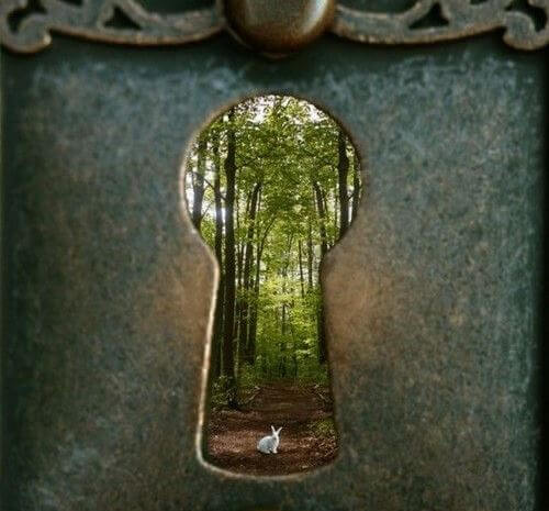kapı deliği orman tavşan