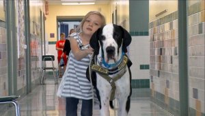 "Güven Bana:" Bella ve George'un Muhteşem Hikayesi