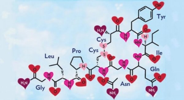oksitosin dizilimi