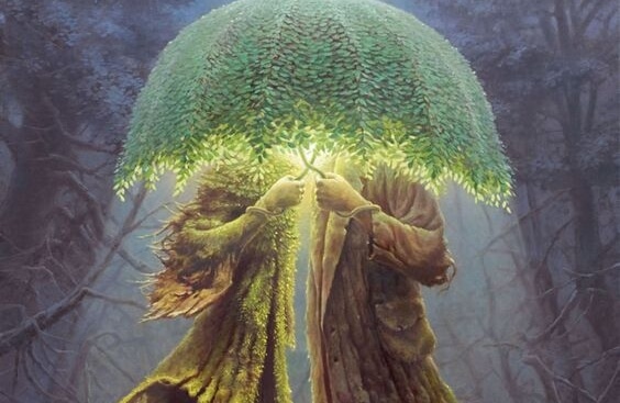 ağaç şemsiye